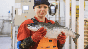 Tour of the salmon processing plant